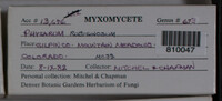 Image Associated With the Occurence